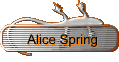 Alice Spring