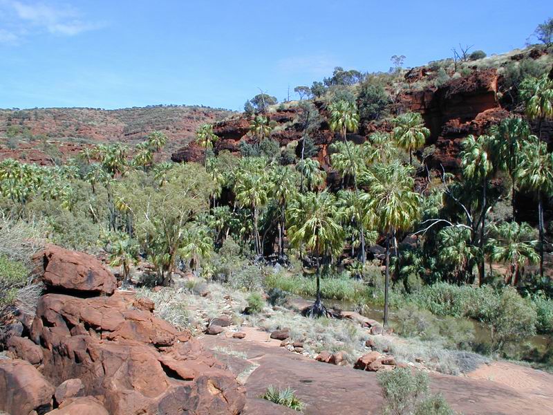 Outback00.JPG