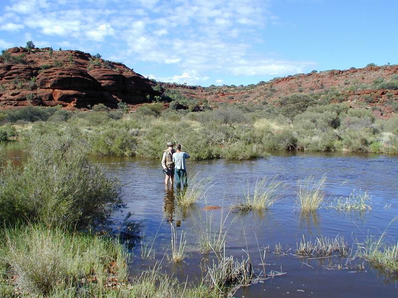 Outback01.JPG