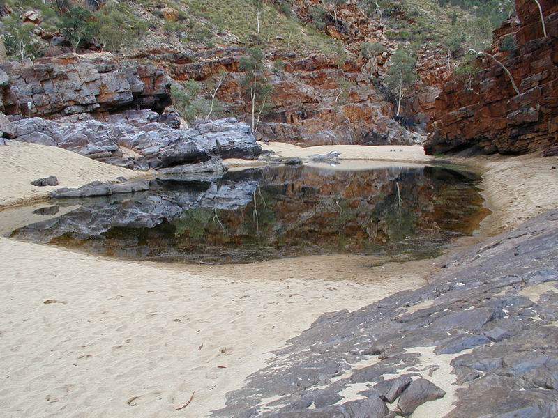Outback02.JPG