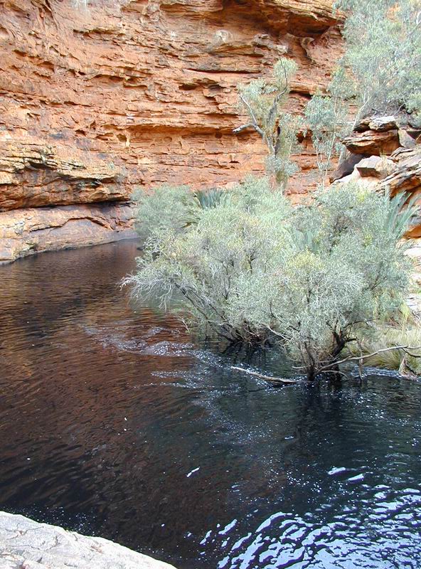 Outback07.JPG