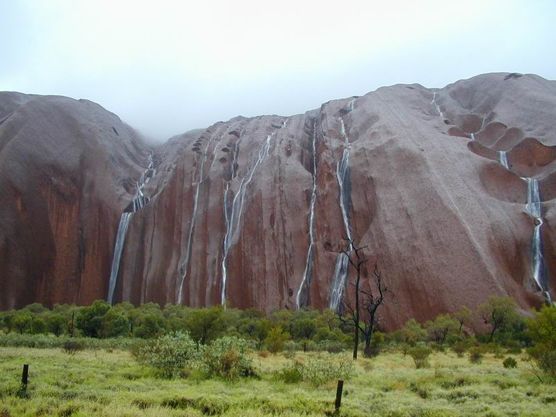 Outback09.JPG