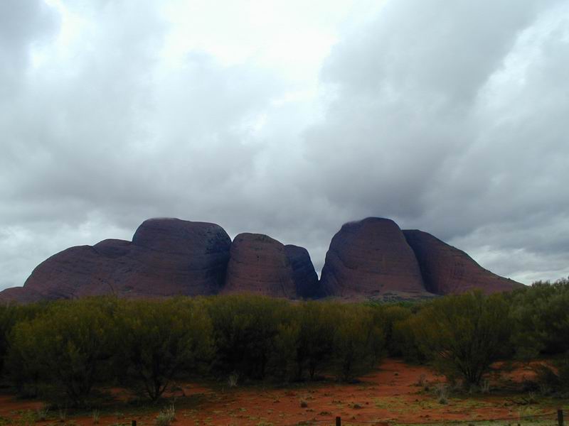 Outback13.JPG