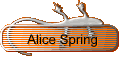 Alice Springs
