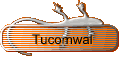 Tocumwal